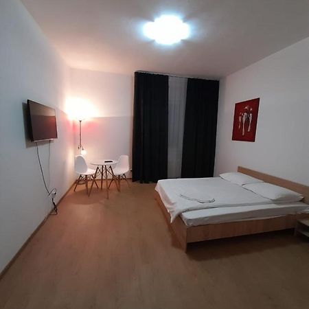 Piata Unirii- 1 Room Studio Apartment Timişoara Extérieur photo
