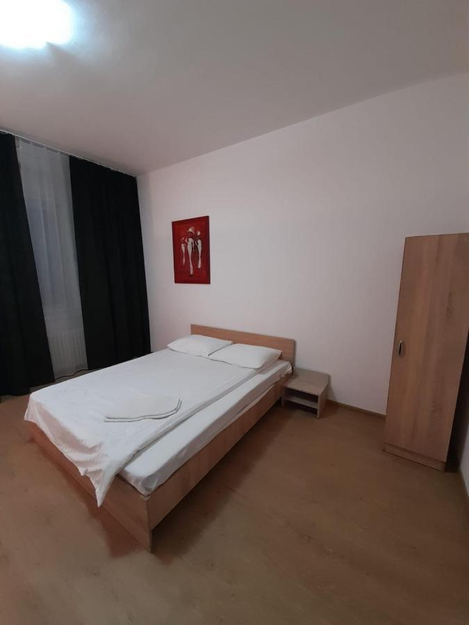 Piata Unirii- 1 Room Studio Apartment Timişoara Extérieur photo