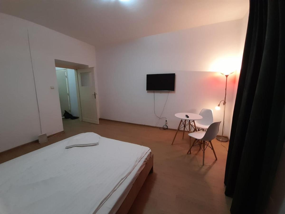 Piata Unirii- 1 Room Studio Apartment Timişoara Extérieur photo